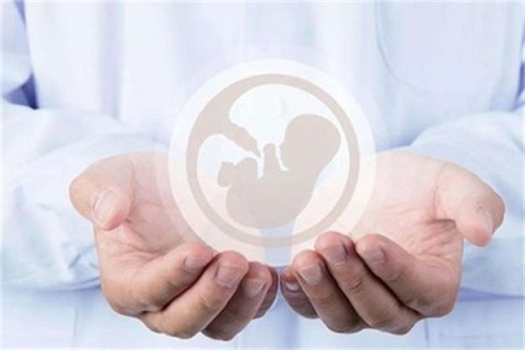 http://huizhou.hy-ly.com/post/203.html|惠州试管助孕
